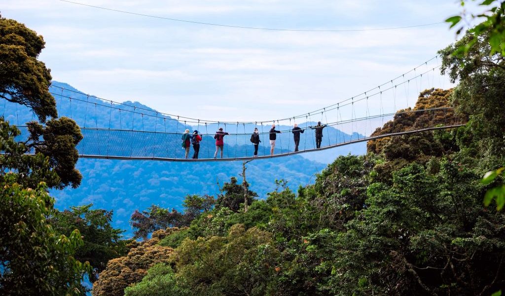 canopy-walk-nyungwe-1024x683